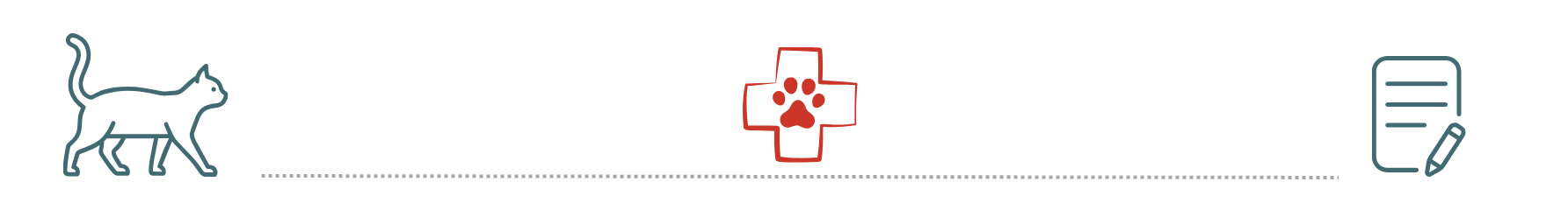 Cat and dog receiving care with pet insurance support at Hefner Road Animal Hospital in Oklahoma City